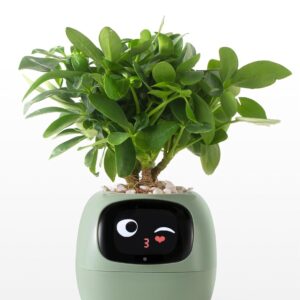 AI Plant Pot